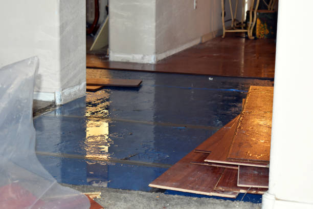 Professional Burst Pipe Cleanup technician working in DeKalb, IL